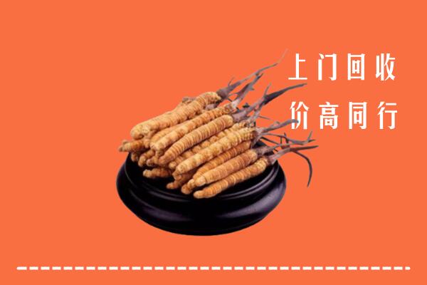 高价求购：中卫回收散虫草
