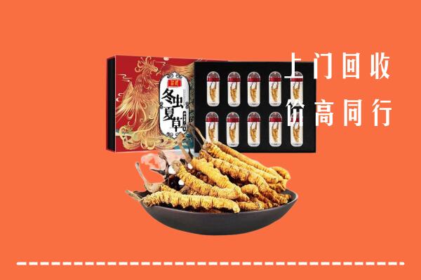中卫高价回收虫草